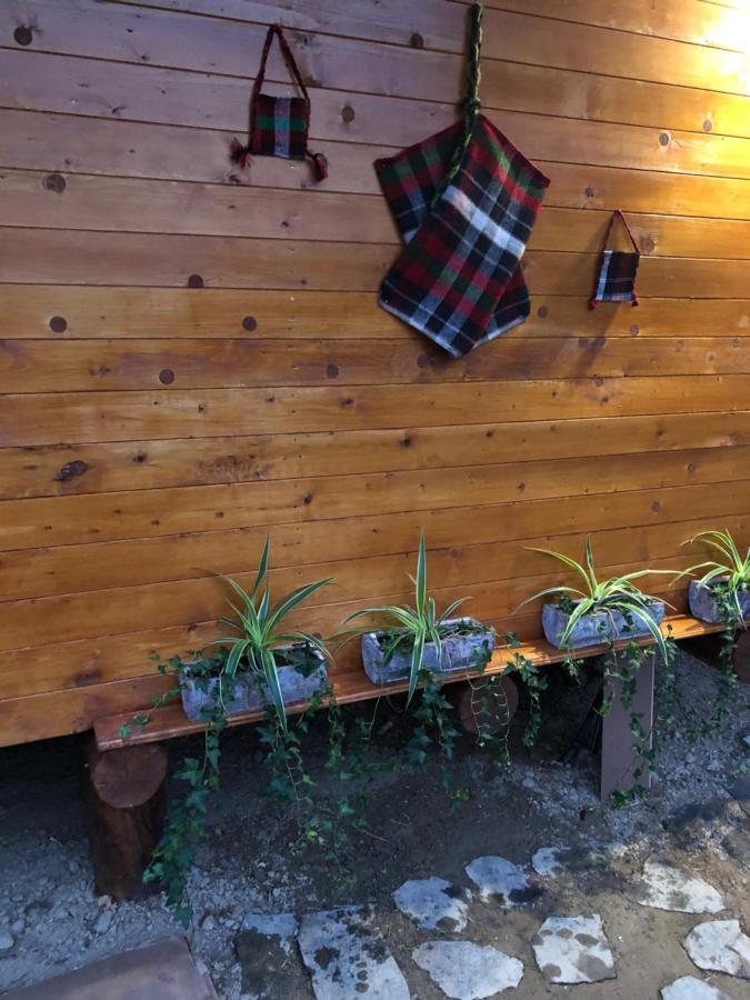 Domeniul Horj Casa Din Deal 모이세이 외부 사진