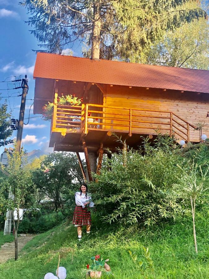 Domeniul Horj Casa Din Deal 모이세이 외부 사진