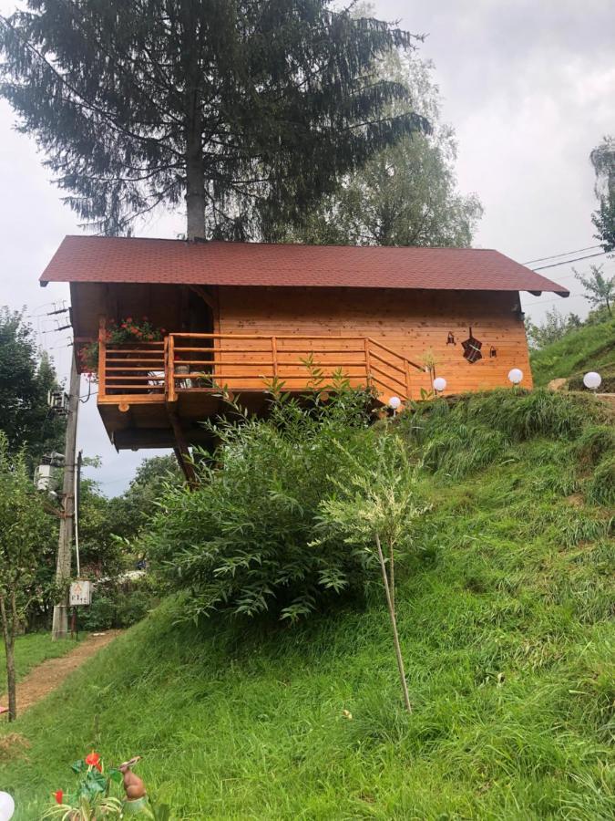 Domeniul Horj Casa Din Deal 모이세이 외부 사진
