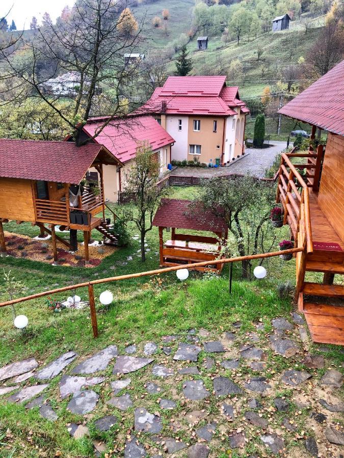 Domeniul Horj Casa Din Deal 모이세이 외부 사진