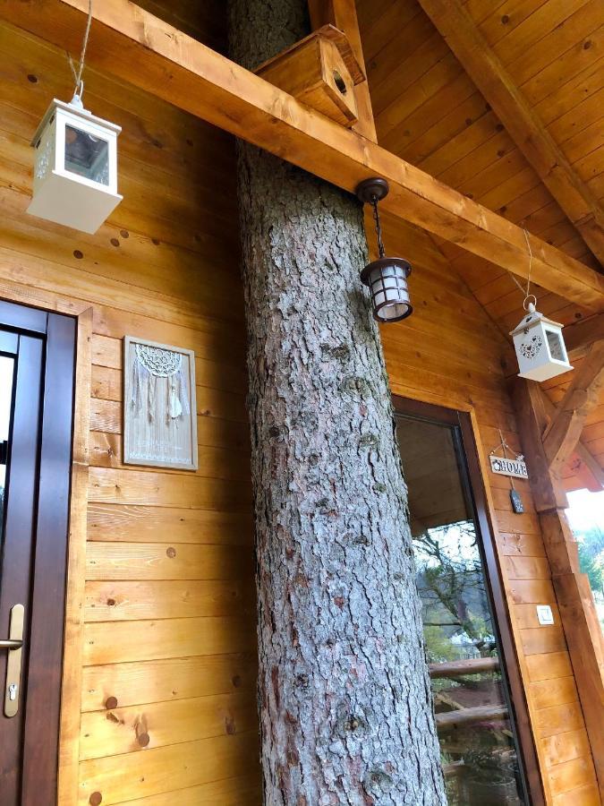 Domeniul Horj Casa Din Deal 모이세이 외부 사진